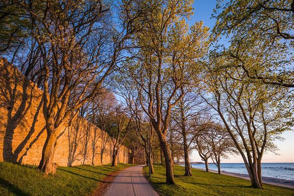 Bibikow, Walter 아티스트의 Sweden-Gotland Island-Visby-12th century city wall-most complete medieval city wall in Europe-sunse작품입니다.